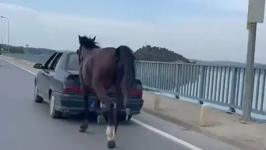 Adana'da Bir Yıl Sonra Eziyet Edenlere Şok Tutuklama!