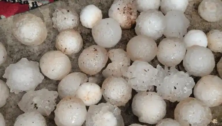 Şanlıurfa'da Kar Topu Büyüklüğünde Dolu Yağışı Tartışmalara Neden Oldu