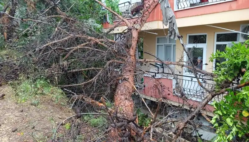 Yağmura Direnemeyen Bina, Üzerine Devrildi: O Anlar Kamerada