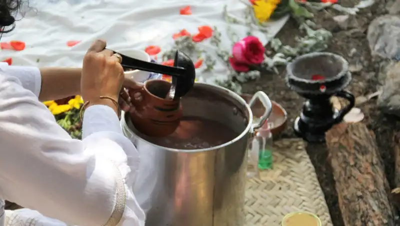 Ayahuasca: Doğanın Sırrı Yoksa Yasa Dışı Bir Tehlike mi?