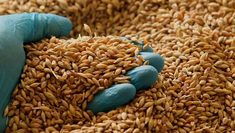 Kalp Hastalığı Riskini Azaltan 7 Besin Maddesi ve Uzman Tavsiyeleri