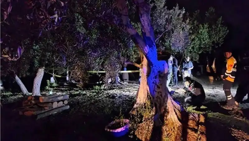 Çiftlikteki Baltalı Vahşet: Olayın Ardındaki Kişi Tutuklandı