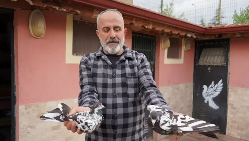 42 Yıllık Hobisini Profesyonel Tesise Dönüştürdü, İl Dışından Yoğun Talep Var