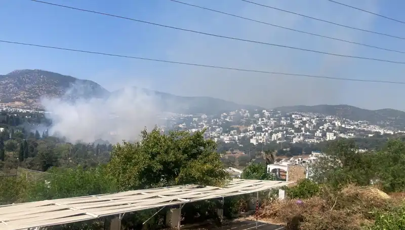Muğla'daki Orman Yangınları Kontrol Altına Alındı, Durum Güncelledi