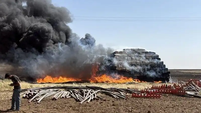 Mardin’de Anız Yangınları: Tarım Arazileri ve Doğa Tehlikede!