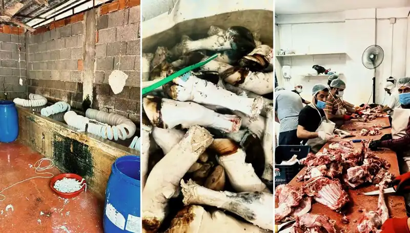Adana'da Şok Tütünler: Mide Bulandıran Paça Skandalı Ortaya Çıktı