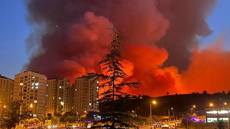 Bursa'da Yangınlar Alarm Veriyor: Şehirdeki Durum Ne?