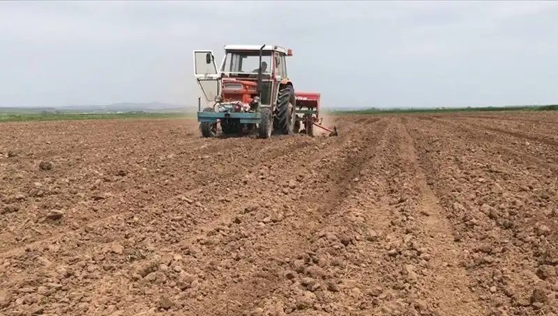 Son 35 Yılın En Kurak Mart'ı: Yağış Miktarının Düşüşü Korkutuyor