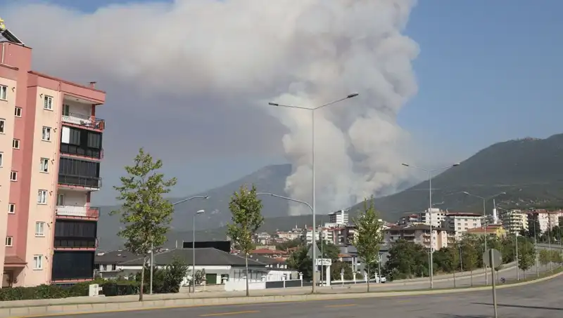 Denizli'de Orman Yangını: Bir Şüpheli Gözaltında, Neler Oluyor?