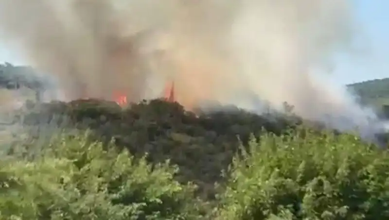 İstanbul'da Orman Yangını: Acil Tahliye Kararları ve Son Gelişmeler
