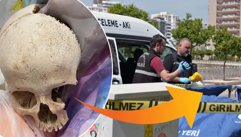 Sitenin Çöpünden Çıkan Kafatası: Şok Edici Sır ve Gözaltı Süreci