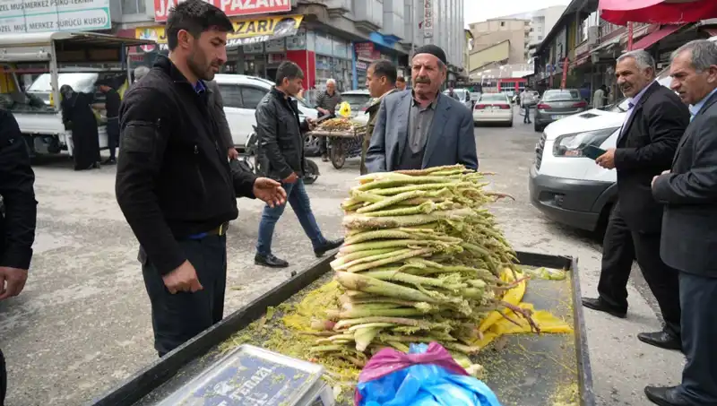 Şekerin Şifa Kaynağı Olduğu Doğal Bitkiler: Dağlardan Gelen Sağlık