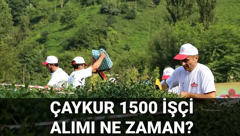 Çaykur İşçi Alımında Son Durum ve Başvuru Tarihleri Belli Oldu!