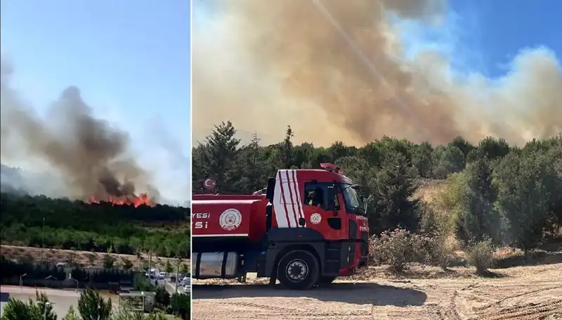 Gebze'de Orman Yangını: Doğa İle Mücadelenin Zorlu Anları