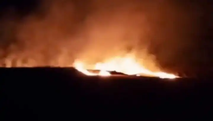 20 Dönüm Tarım Alanı Alev Alev Yandı: Yangının Sebepleri Araştırılıyor